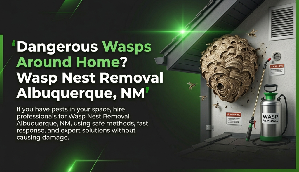 Wasp Nest Removal Albuquerque NM